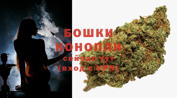 Альфа ПВП Магадан