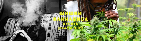 молекула духа Мегион