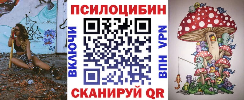 Купить  Камышин  Псилоцибиновые грибы Psilocybe 